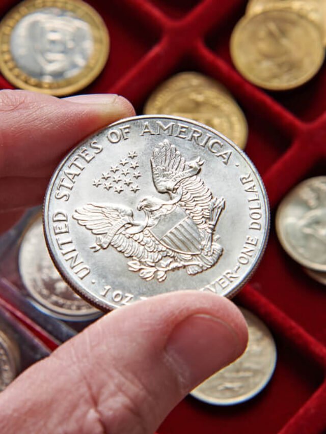 silver-eagle-coin-collection